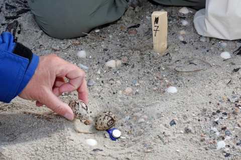 Scientific investigation