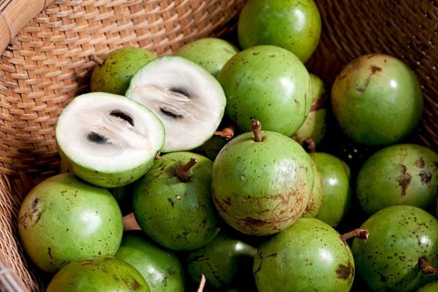 Milk apples