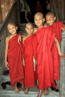 Novices