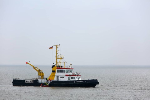 Arrival of the bird warden on the island of Minsener Oog