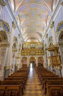 View of the organ
