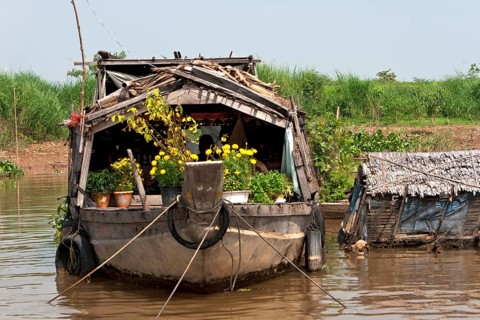 Old boat with flowers