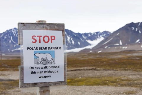 Polar bear warning sign at Svalbard
