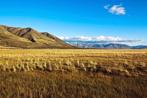 Landscape near El Calafate