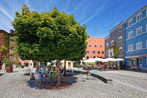 Outdoor seat on square under Norway maple