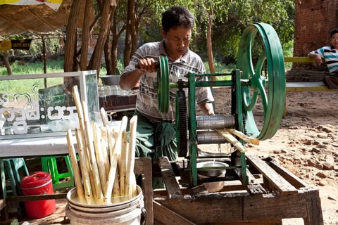 Man pressing sugar cane juice