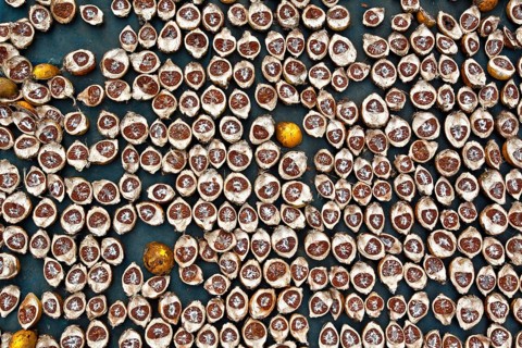 Betel nuts
