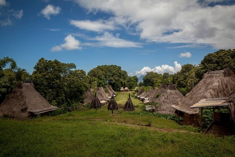 Traditional hut village