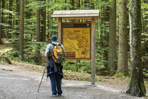 Visitor reading information board with map in the Tierfreigelaende