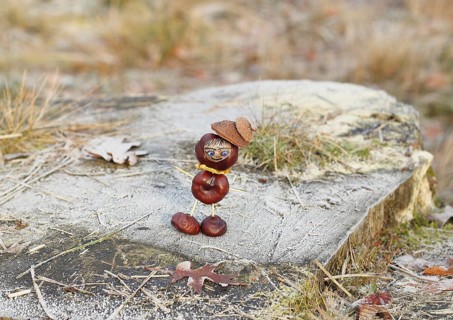 Funny chestnut figure in winter