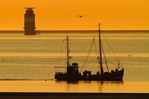 Crab cutter at sunrise in the Weser fairway off Minsener Oog