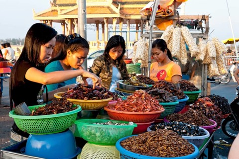 Roasted insects being sold at the market