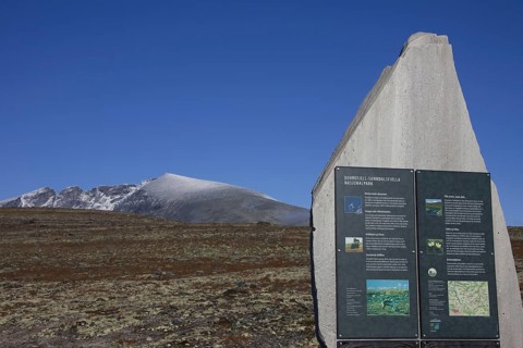 Snohetta