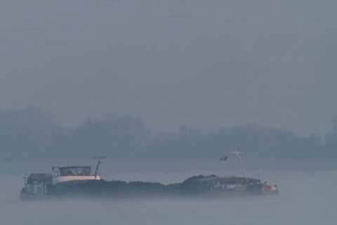Cargo ship in the fog on the Weser