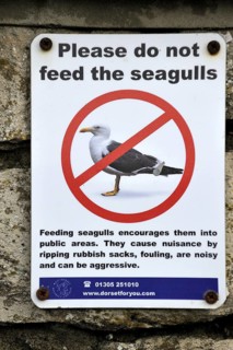 Please do not feed the seagulls prohibition sign in harbour at Dorset