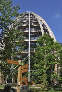 Baumwipfelpfad