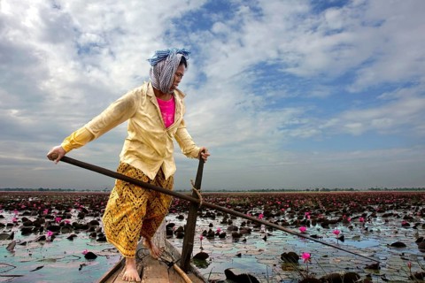 Woman in boat at sea with water lilies
