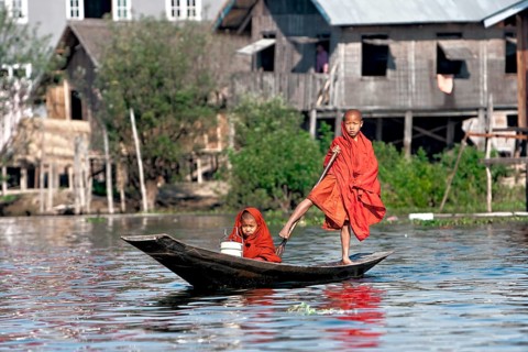 Novices
