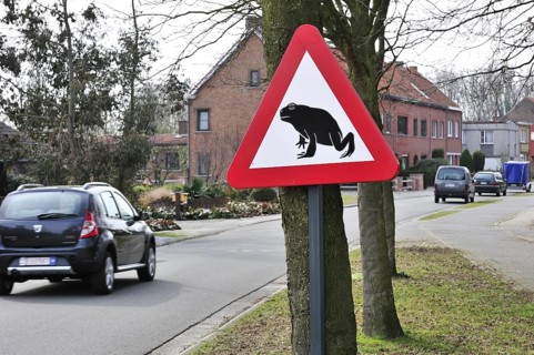 Warning sign for migrating amphibians