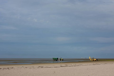 Construction measures on the uninhabited island of Minsener Oog in zone 1 in the Lower Saxony Wadden Sea National Park