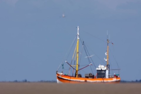 Crab cutter seems to be sailing in the sand