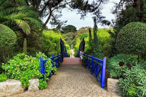 Blue Bridge