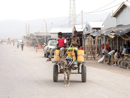 Donkey cart on dusty road