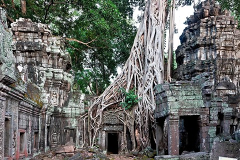 Angkor Ta Prohm