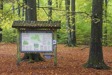 Information board with map in the Soederasen NP