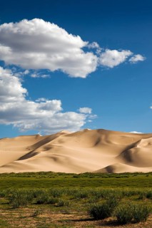 Hongor Dunes