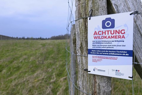 German sign for camera trap along wildlife bridge