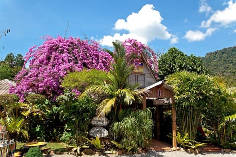 Restaurant in Khao Sok National Park