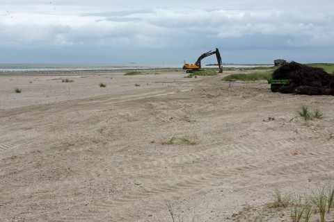 Construction measures on the uninhabited island of Minsener Oog in zone 1 in the Lower Saxony Wadden Sea National Park