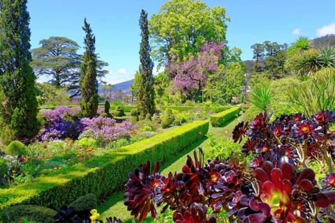 Blandy's garden