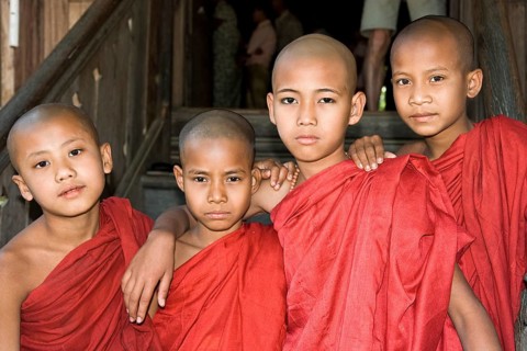 Novices