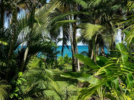 Caribbean coast