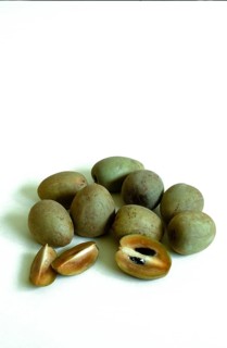 Sapodillas