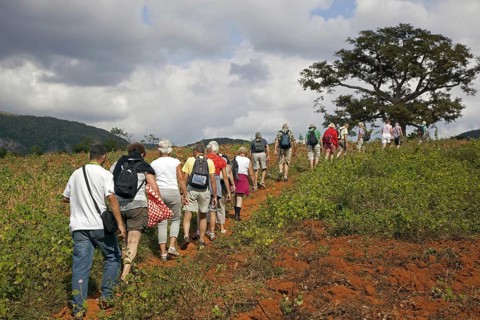 Tourists exploring the Vinales Valley