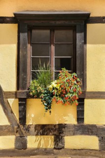 Window on the Kapff Building