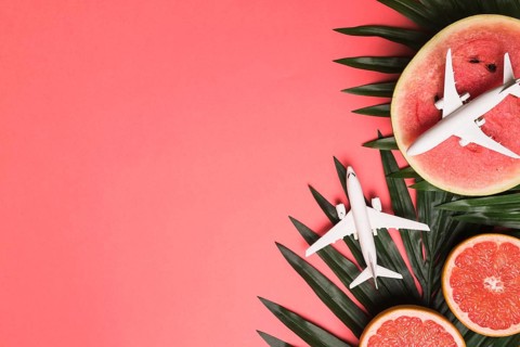 Composition small airplanes plant leaves grapefruit watermelon