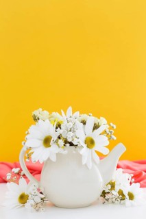 Decoration with white daisies yellow background