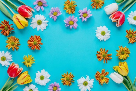 Blooming tender flowers blue