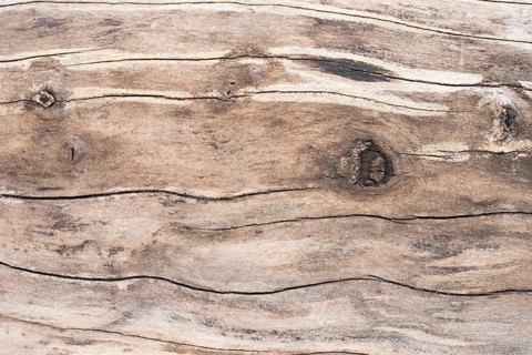 Wooden texture background with