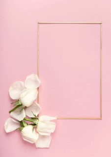 Cute minimalist frame white rose petals