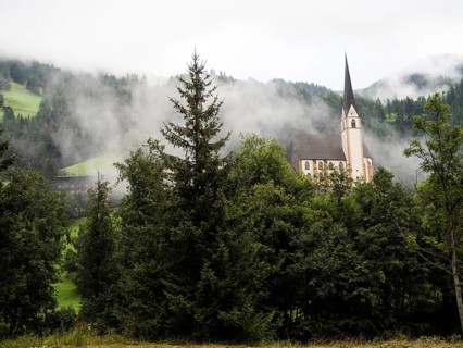 Morning mist