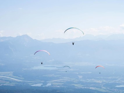 Paraglider