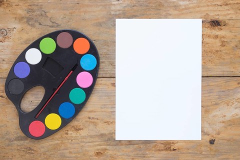 Lay out pallet blank paper