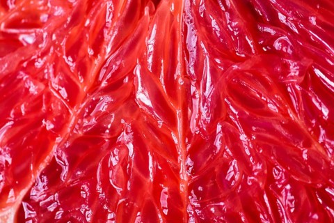 Close up juicy grapefruit pulp