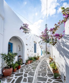 White Cycladic houses with flower pots and purple bougainvillea