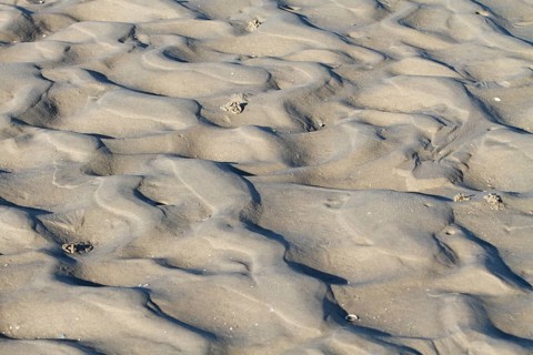 Ripple marks in the mudflats off Minsener Oog Island